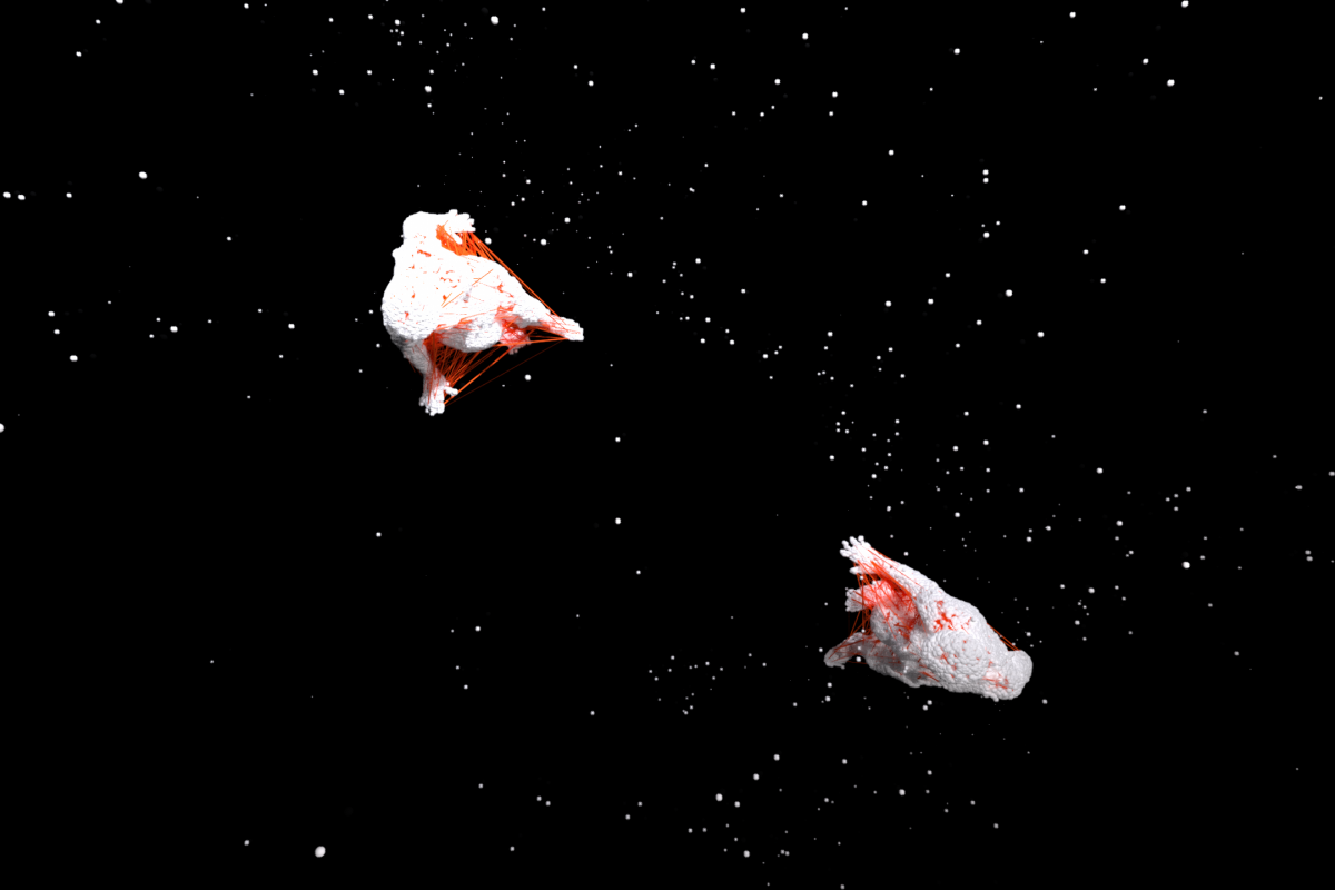 Cailean Finn: The Garden